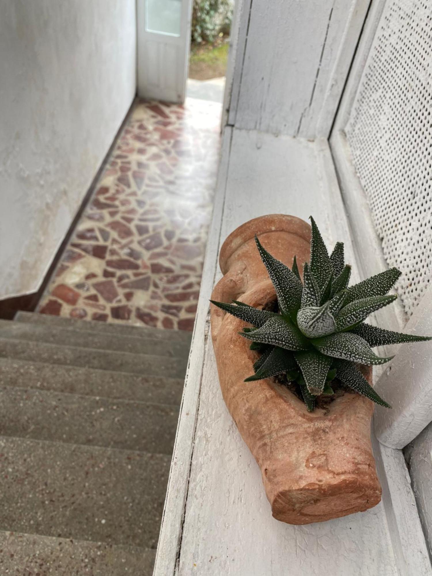 Vila Llulla Kruje Ngoại thất bức ảnh