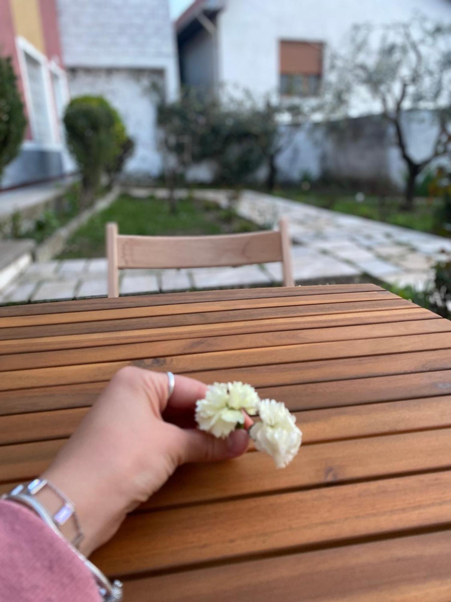 Vila Llulla Kruje Ngoại thất bức ảnh